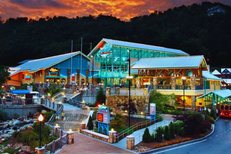 Things To Do Ripley's Aquarium of the Smokies